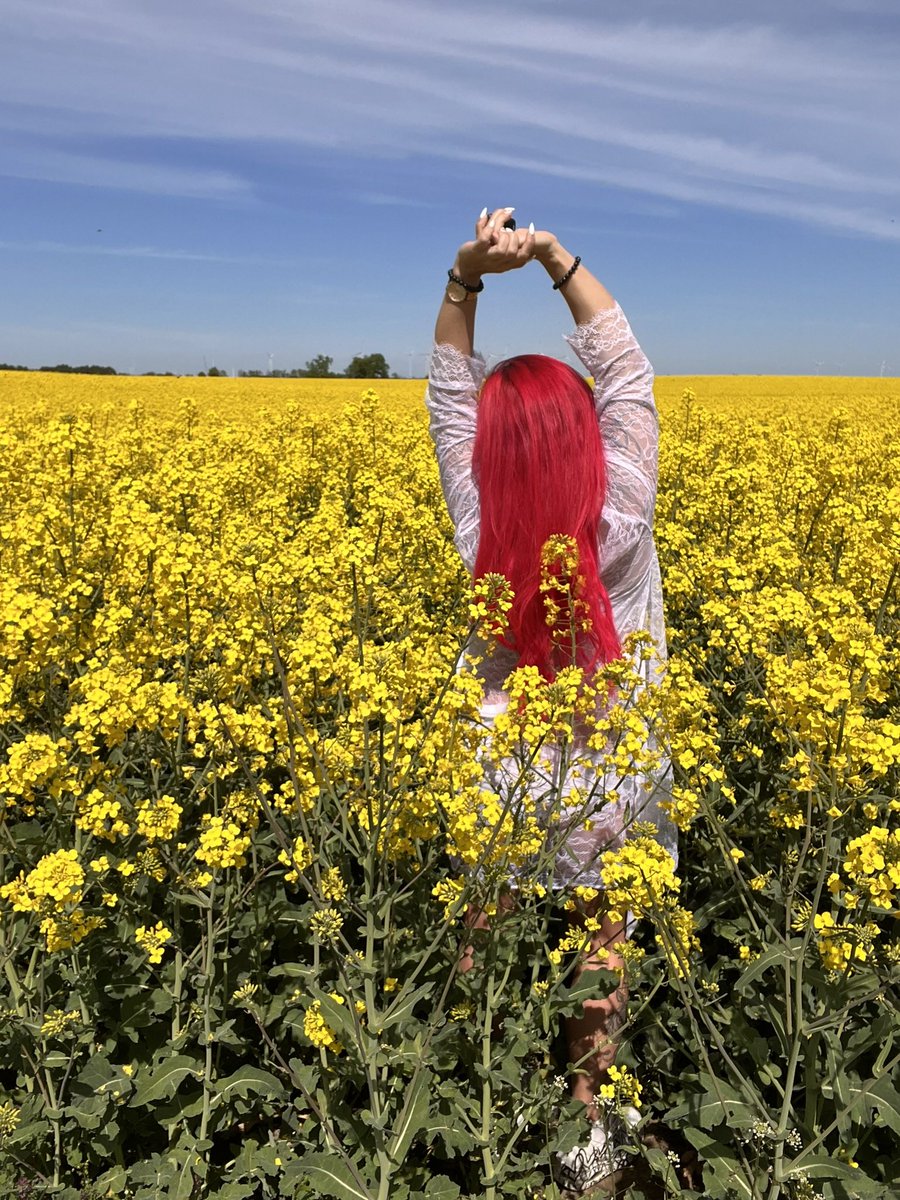 onlyredsteffi's tweet image. „Zwischen Gold und Freiheit – manchmal reicht ein bisschen Sonne, ein freier Kopf und ein Meer aus Blüten, um sich einfach lebendig zu fühlen. 🌼☀️“

#rapsfeldliebe #freigeist #blumenkind #springvibes #naturelover #rotehaarepower #instamood #freakyberry #linkinbio