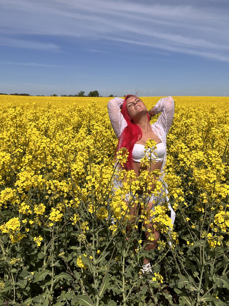 onlyredsteffi's tweet image. „Zwischen Gold und Freiheit – manchmal reicht ein bisschen Sonne, ein freier Kopf und ein Meer aus Blüten, um sich einfach lebendig zu fühlen. 🌼☀️“

#rapsfeldliebe #freigeist #blumenkind #springvibes #naturelover #rotehaarepower #instamood #freakyberry #linkinbio