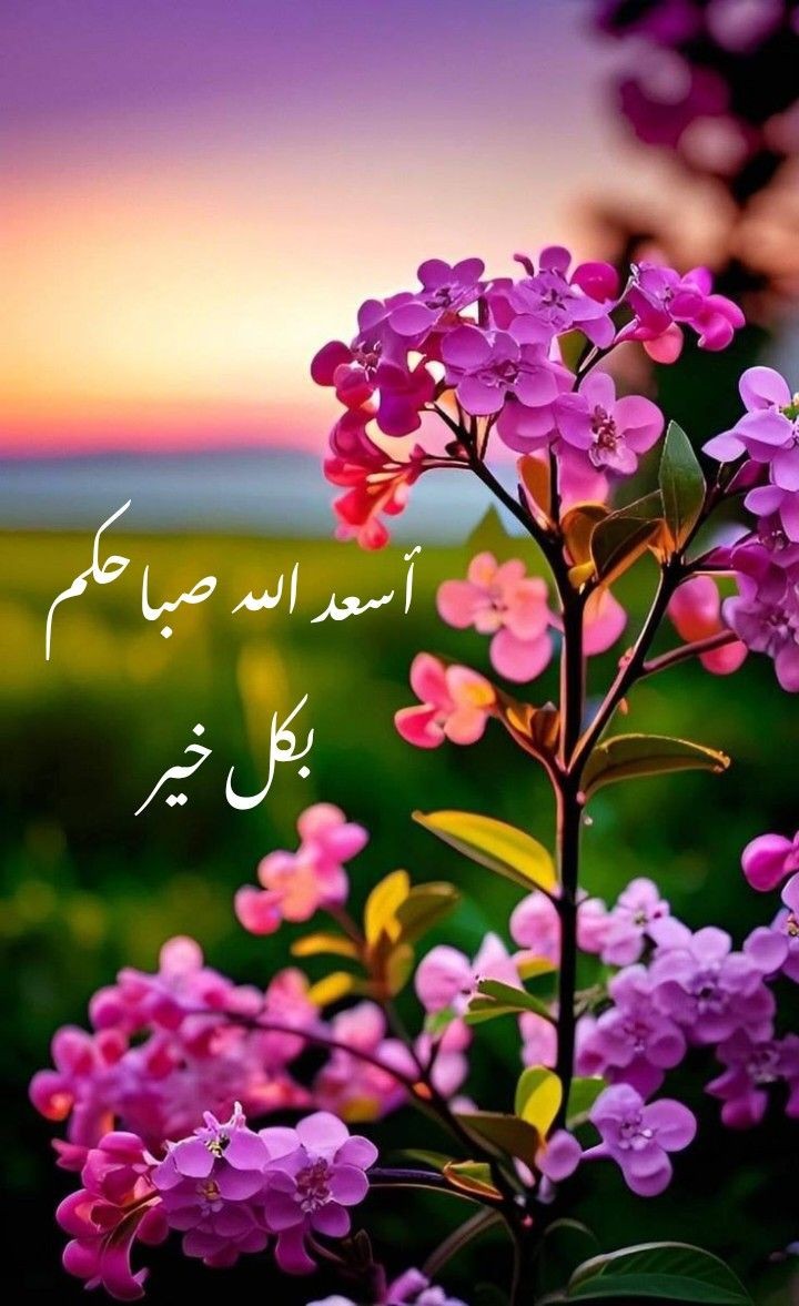 autms5's tweet photo. #صباح_الخير ✨📷
. 
. 
. 
#صباحيات #صباح_الخير_والسعاده #صباح_الأشياء_المُشرقة #صباح__الخيرِ #صباح_الخير_والحب_والسلام 
#صباح_الخير_والحب_والسلام https://t.co/Ez2LuW20Er