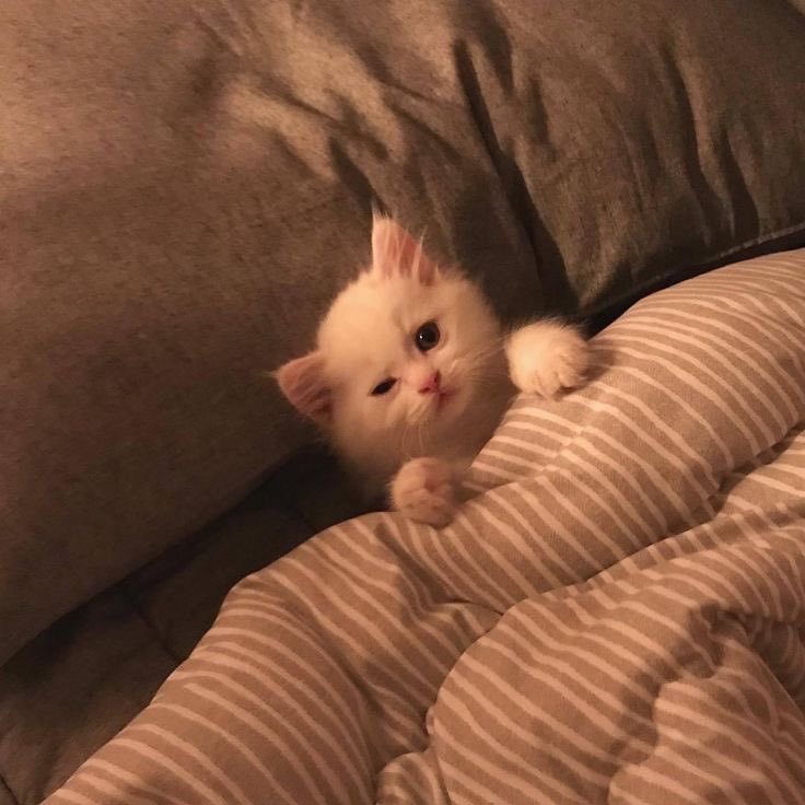 paga la pensión <a href="/morturies/">︎ ︎ ︎ ︎ ︎ ︎ ︎ ︎𝗍𝗂𝗅𝗅 𖹭'𝗌 𝗏𝖺𝗇𝗂. ︎ ︎ ︎ ︎ ︎</a> mira como lo dejaste.