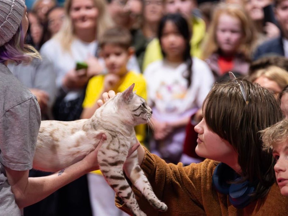 🐾 Brisbane, get ready for a CATstravaganza! 🐱

Australia’s first national cat convention, the Oz Feline Fair, is taking over the #brisbaneshowgrounds this weekend (3 &amp; 4 May)! 

Expect cosplay, cuddles, celebrity cat judges &amp; more. 🐈‍⬛

#mediarelease - bit.ly/435vz23