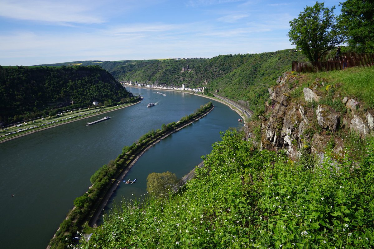 Guten Morgen ihr Lieben 🫶 
Habt einen entspannten Dienstag 👋☕️☕️🤗🍀