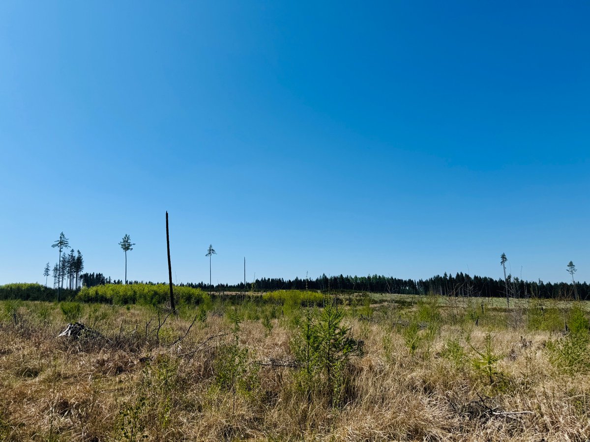 Aleš Erber tweet media