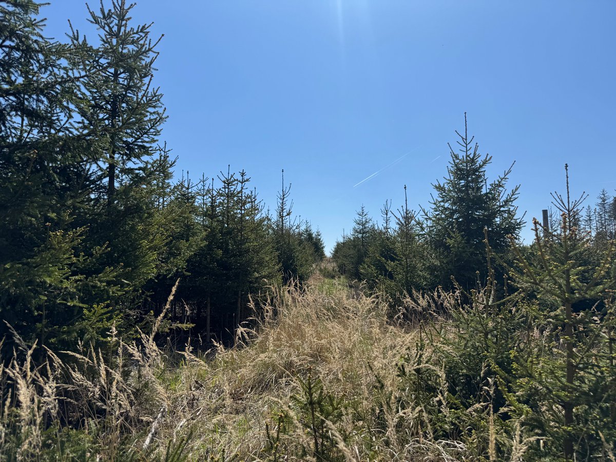 Aleš Erber tweet media