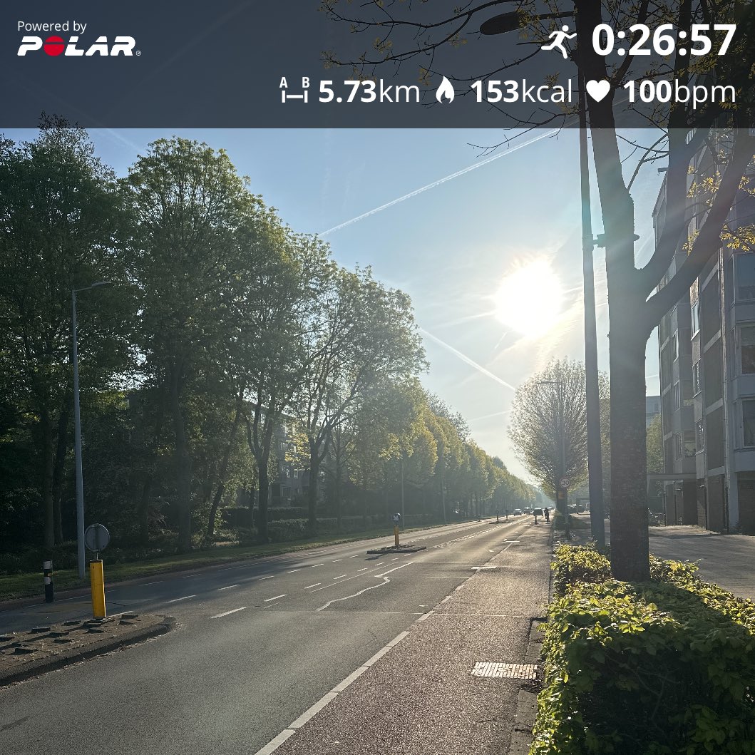 Sunny Morning 5k