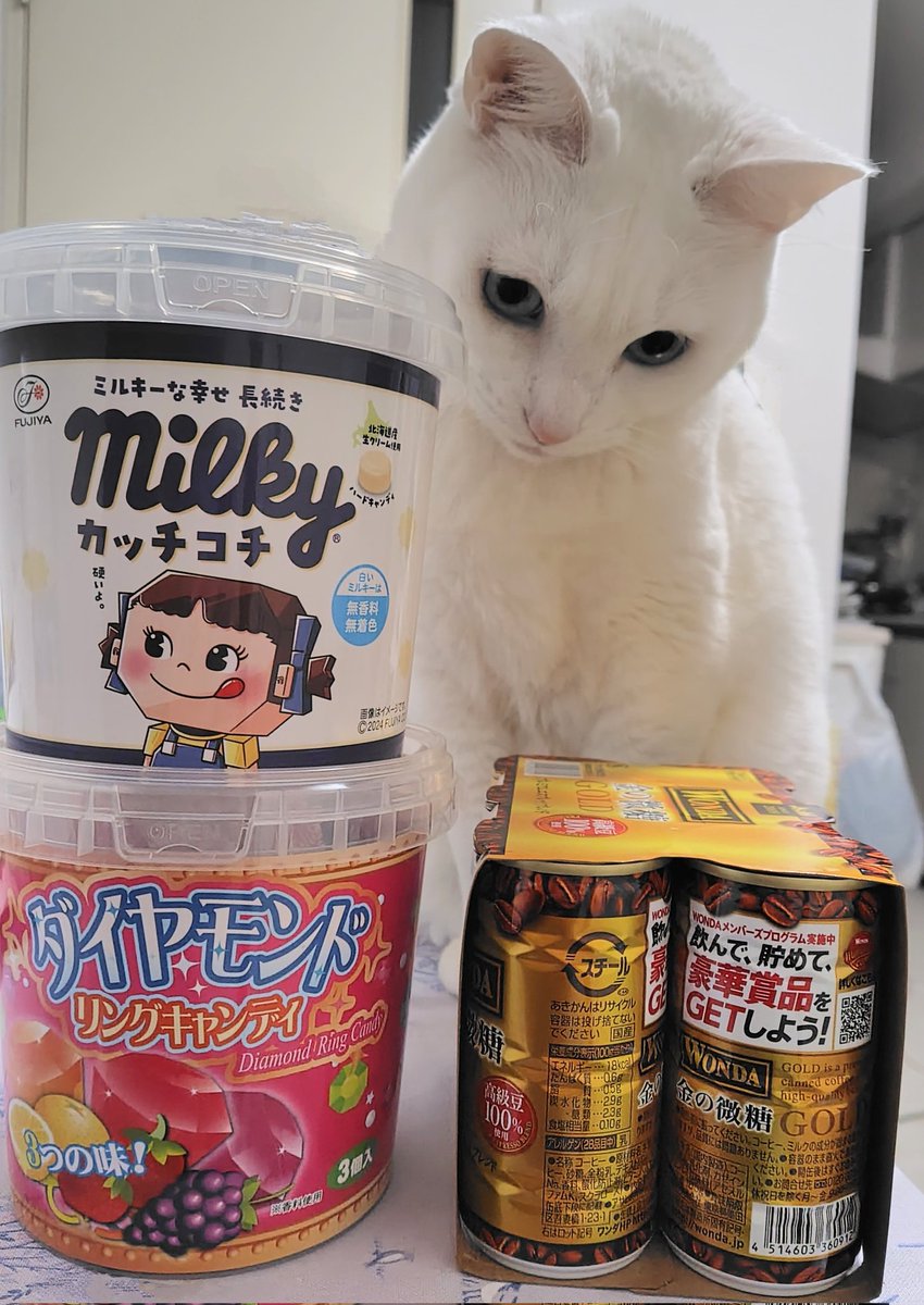 a_sumire_ca_ts's tweet photo. LUKAです。

クレーンゲームでゲットしてきた。
うれし。

#ブログ #つぶやき
#白猫 #猫のいる暮らし #保護猫
#猫好きさんと繋がりたい https://t.co/vz7pq5fL14