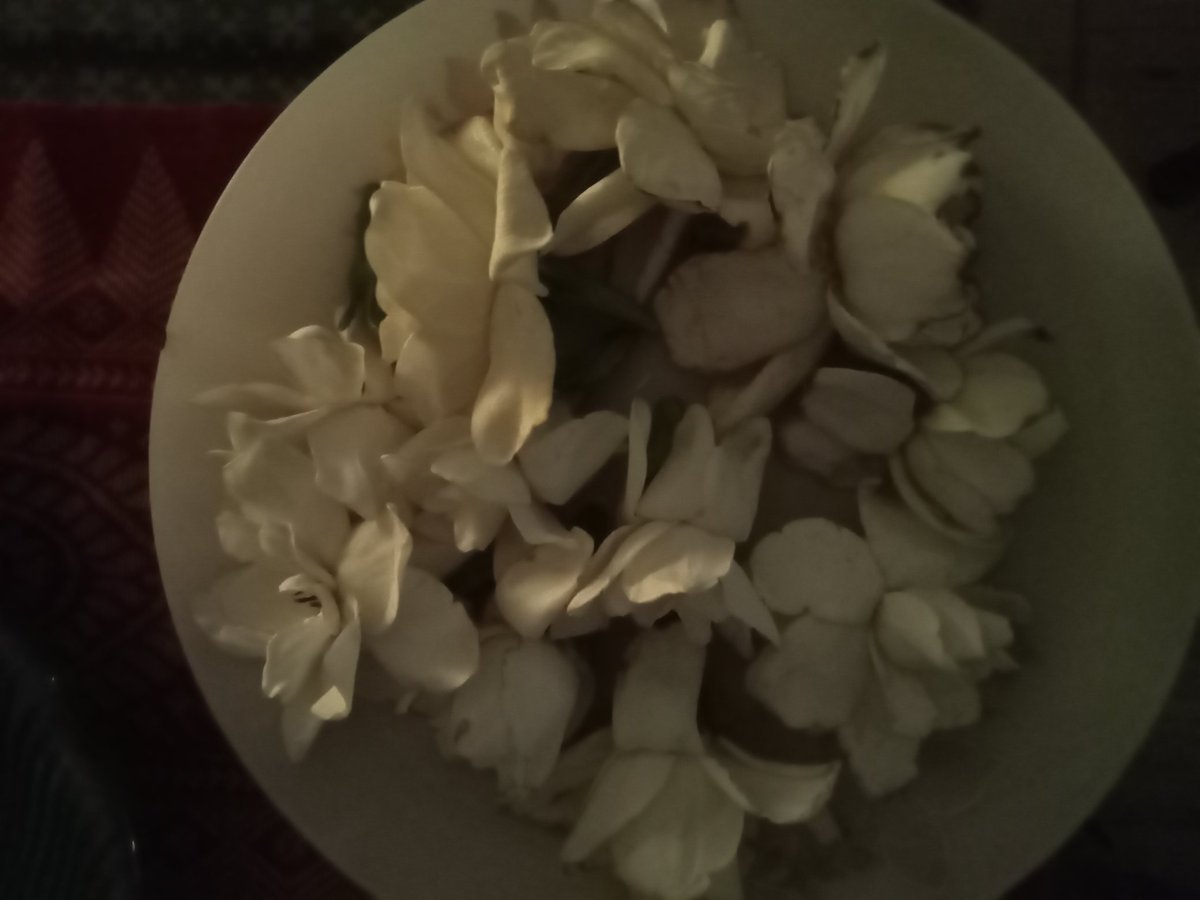 My favourite flowers. 
I found them fallen under their plant a few days ago. Not their fragrance alone, which is erotic and spiritual, but their form, the way the petals cuddle the late evening light ...