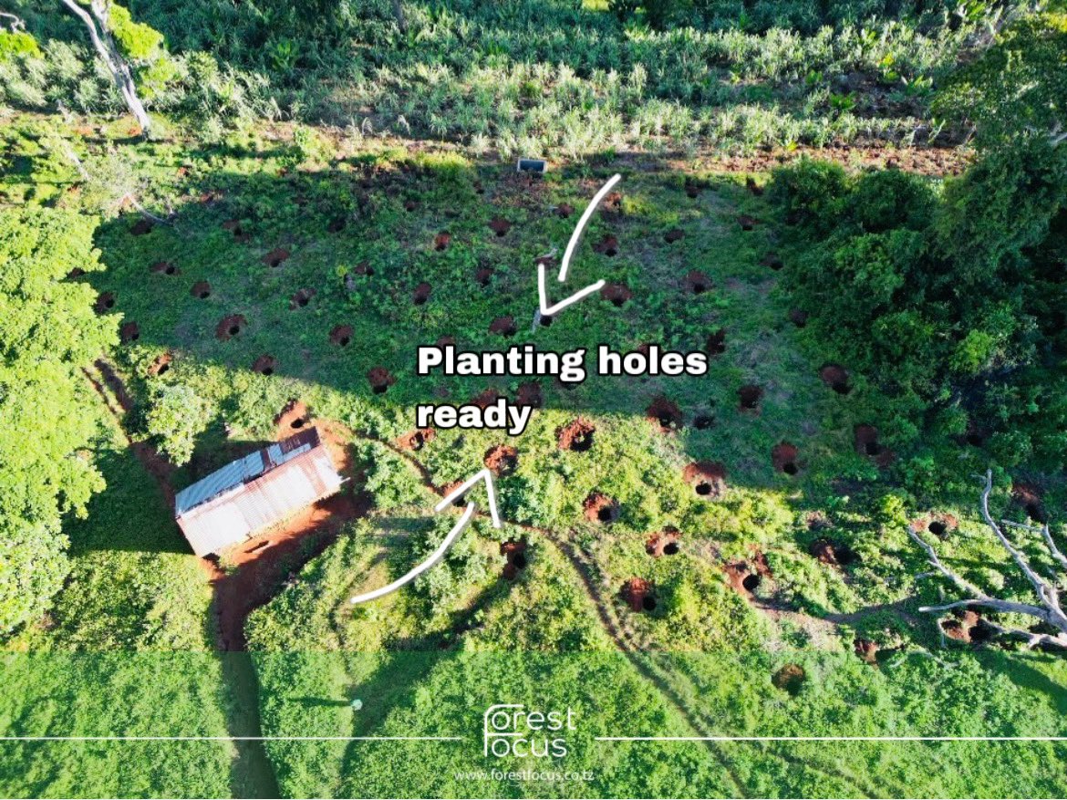 With planting holes freshly prepared, we’re laying the foundation for something greater.

Let’s turn this potential into a greener future. Join us in making it happen, link in bio to plant yours today!
