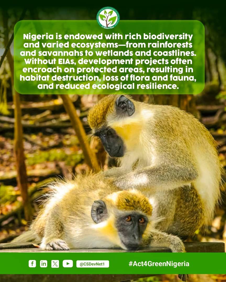 #Act4GreenNigeria Effective conservation and management efforts ultimately benefit both the environment and human societies.
<a href="/PACJA1/">PACJA</a> 
<a href="/CSDevNet1/">Climate & Sustainable Development Network</a> 
<a href="/CSDevNet1_Steve/">🌹🇸 🇹 🇪 🇻 🇪🌹</a> 
<a href="/officialABAT/">Bola Ahmed Tinubu</a>