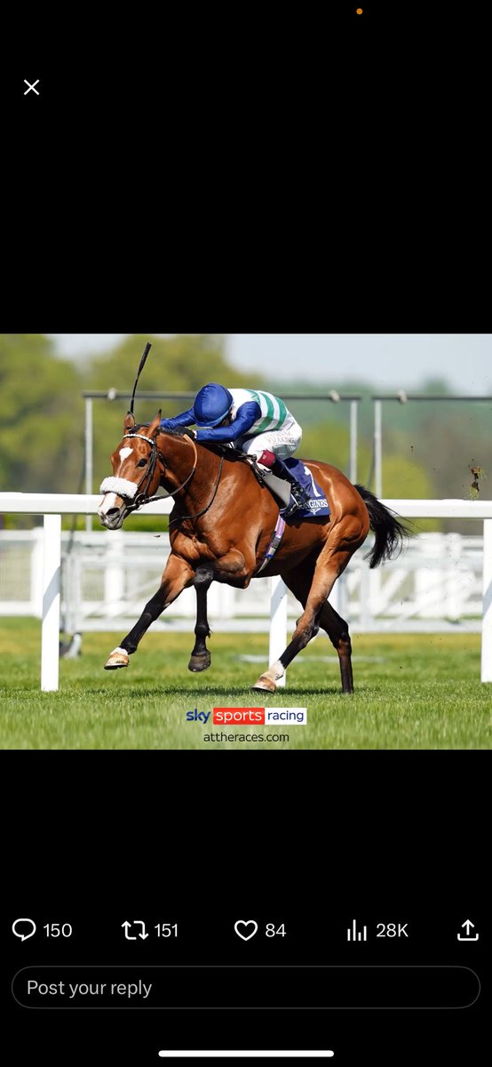 JoshBudz's tweet photo. @AtTheRaces @Ascot https://t.co/lMdQwvGAGS