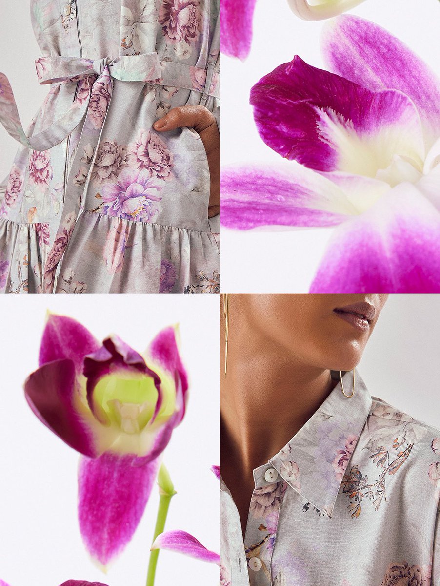 #SpringSelections: Cooktown Orchids, spotted across city windowsills to luxury lobbies and vendor carts, lend their everyday charm to our Grey Floral Print Shirt Dress.

#TheLabelLife #ElevatedLifestyleEssentials #StylesYouLove #TheSpringEdit #SpringEssentials #SpringFlorals
