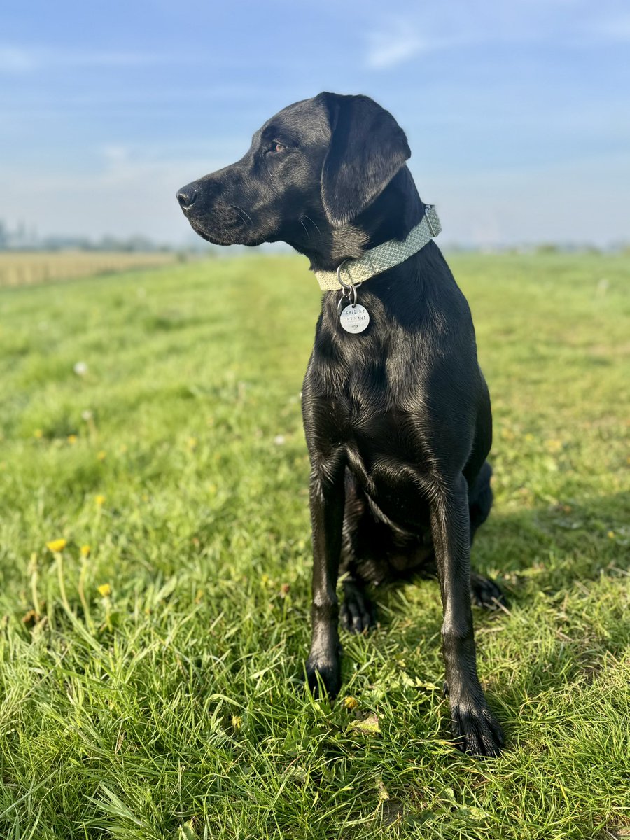 Danny Longbottom tweet media