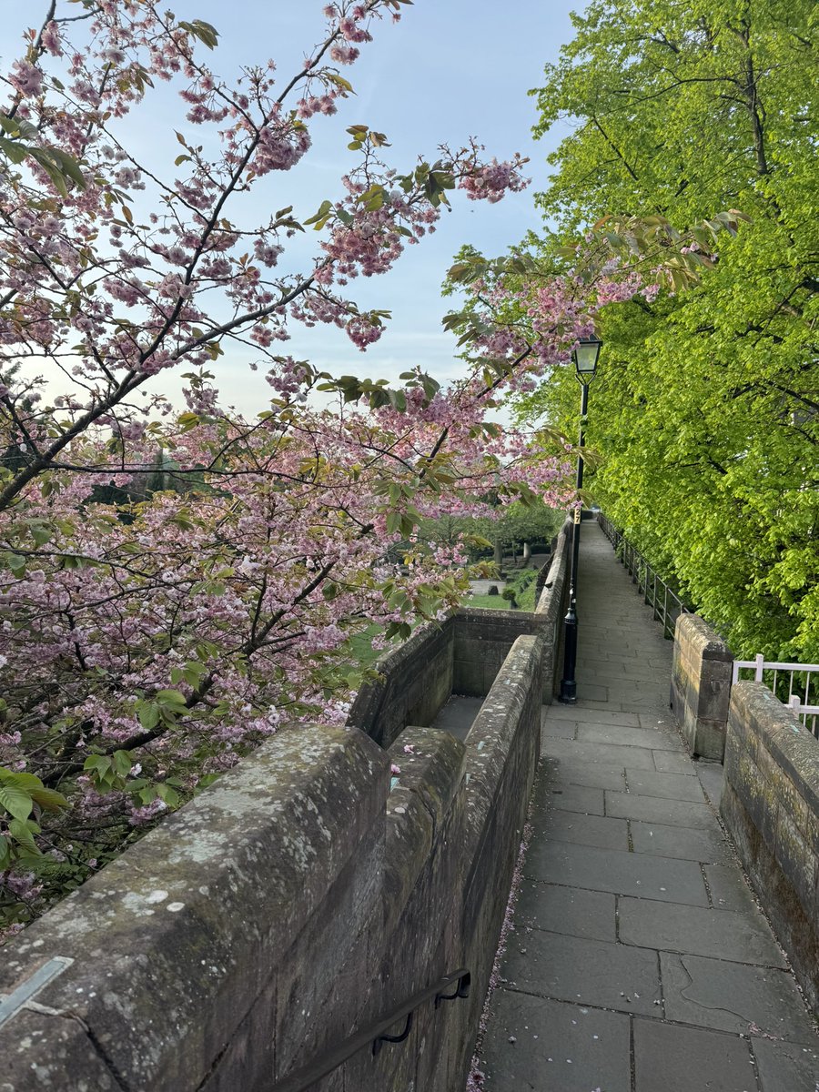 hardyneil's tweet photo. Lovely early morning walk around Chester Walls.  What a beautiful city @ChesterBID @ShitChester https://t.co/f2Yqhq8DdZ