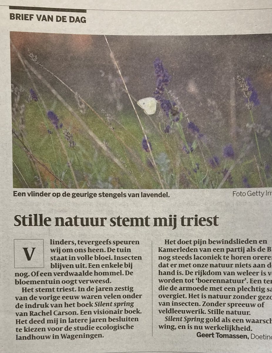 Door de intensieve landbouw en sierteelt is de ‘silent spring’ inmiddels een feit. Dankzij VVD, CDA, SGP en BBB.