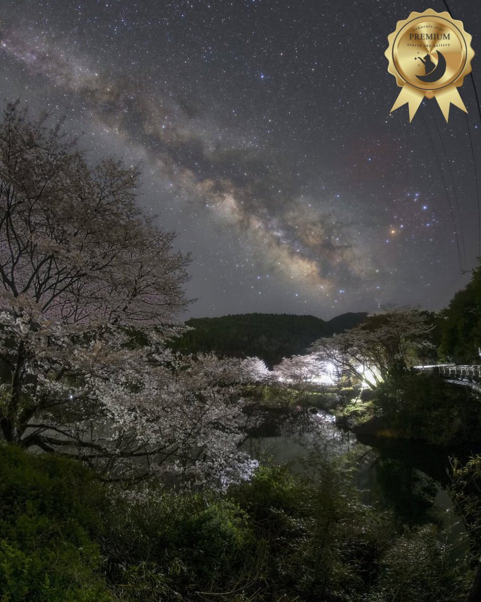 nekocafe_star's tweet image. 4月29日、星空gallery
「今日の1枚」より
📷photographer : makoto.s204
instagram.com/p/DJBU12ABQ79/
#猫のいる星空cafe