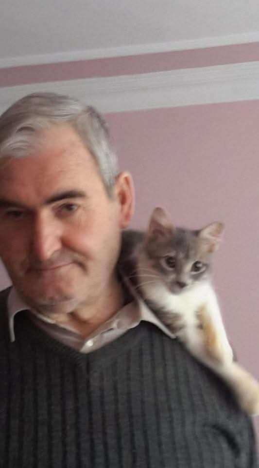 nurie deniz memoglu tweet media