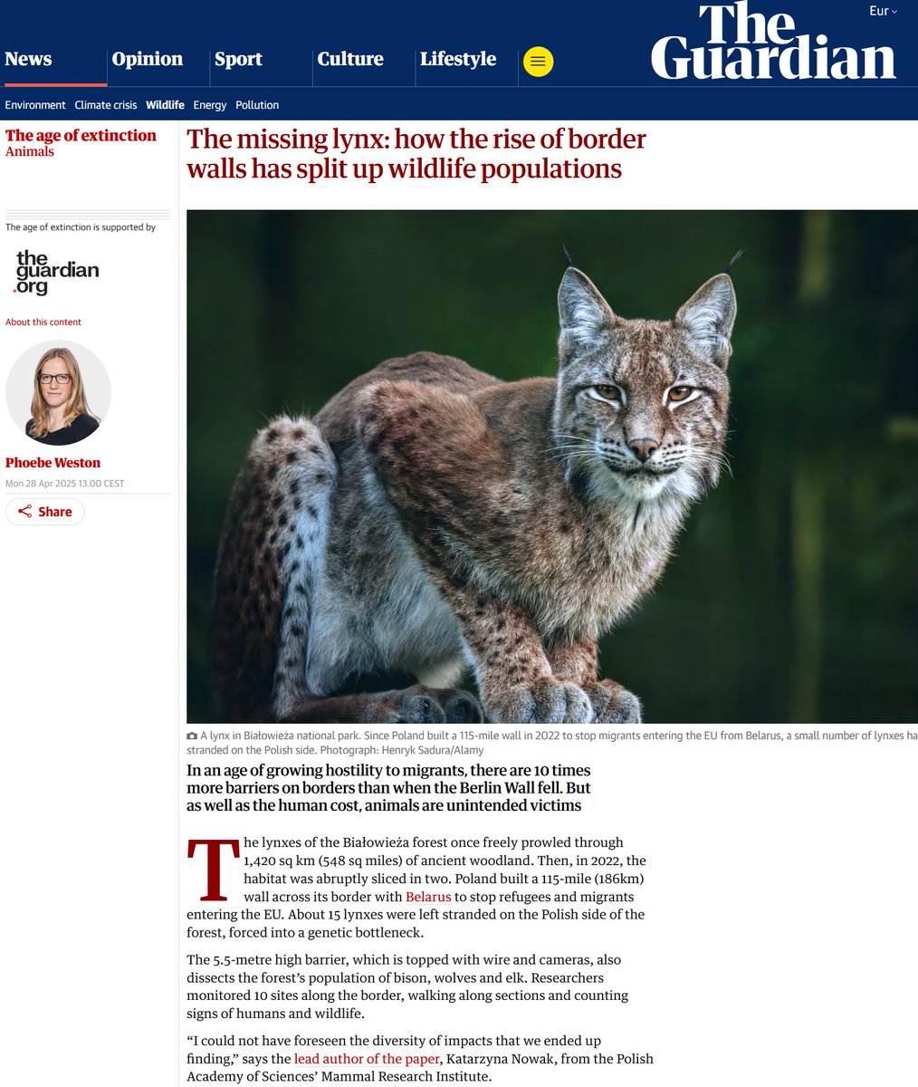Michał Żmihorski (@mzmihorski) on Twitter photo The Guardian publikuje duży materiał o badaniach <a href="/katzyna/">dr Katarzyna Nowak</a> (gratulacje!) prowadzonych u nas w <a href="/mriBialowieza/">Mammal Research Institute PAS</a> - świetna promocja roli nauki, ekologii w szczególności, w kryzysach granicznych i szukaniu działań łagodzących.
CC <a href="/PAN_akademia/">Polska Akademia Nauk</a> <a href="/MNiSW_GOV__PL/">Ministerstwo Nauki i Szkolnictwa Wyższego</a>
Jest również idea Peace The Guardian publikuje duży materiał o badaniach <a href="/katzyna/">dr Katarzyna Nowak</a> (gratulacje!) prowadzonych u nas w <a href="/mriBialowieza/">Mammal Research Institute PAS</a> - świetna promocja roli nauki, ekologii w szczególności, w kryzysach granicznych i szukaniu działań łagodzących.
CC <a href="/PAN_akademia/">Polska Akademia Nauk</a> <a href="/MNiSW_GOV__PL/">Ministerstwo Nauki i Szkolnictwa Wyższego</a>
Jest również idea Peace