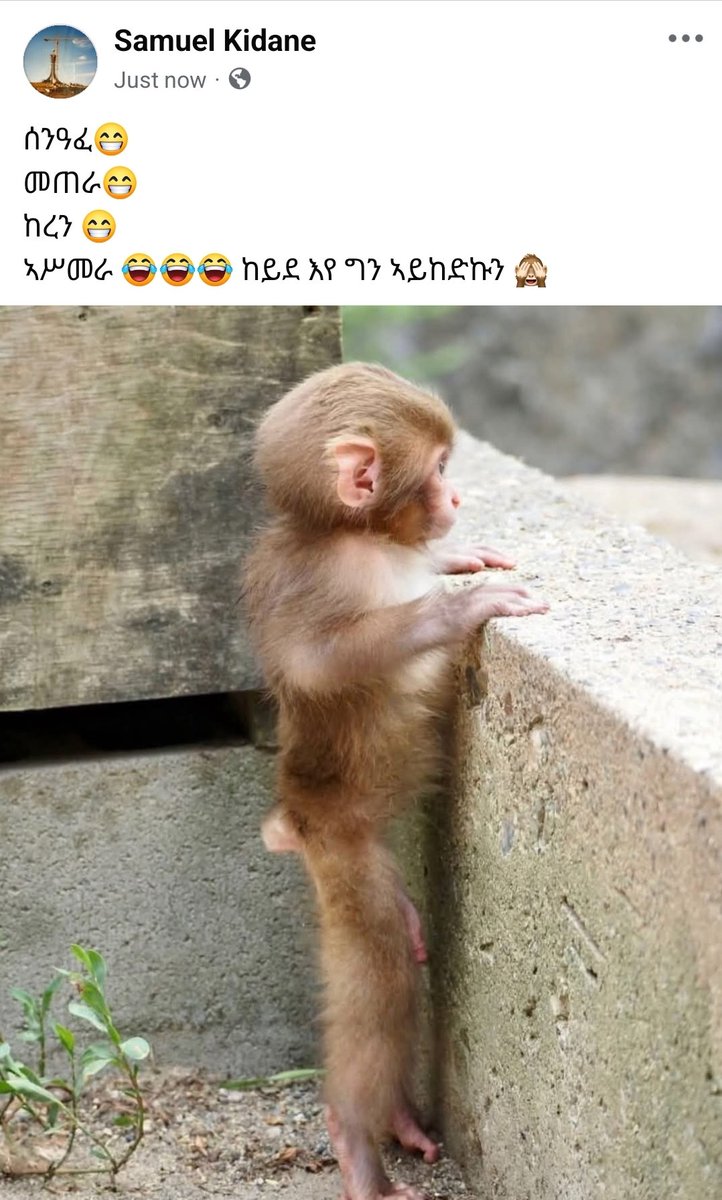 Samuel Kidane (@samuelkidaneha1) on Twitter photo 