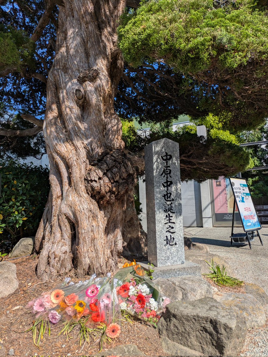 中原中也 ダヴィンチストア限定祭り 100個 Amazon.co.jp: タピオカ(Tapioca) 文豪ストレイドッグス 中原中