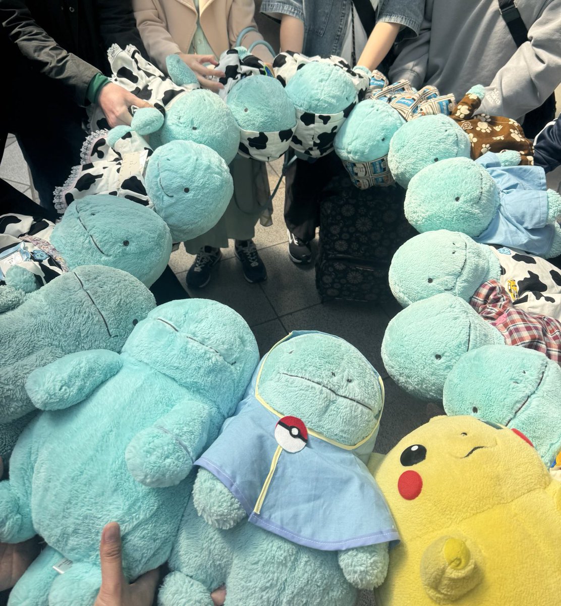 みぬさんこんぬちは✨
こちらのアカウントは、ぬい <a href="/odoremotto05_/">ぬい🎧🫧⚡</a> と、だんぬぁの ぬみ の共同運営アカウントです💁‍♀💁‍♂おとといは仙台の物産展へ✨お会いできたみぬさま、ありがとうございました！またどこかで会えますようぬぃ☺️