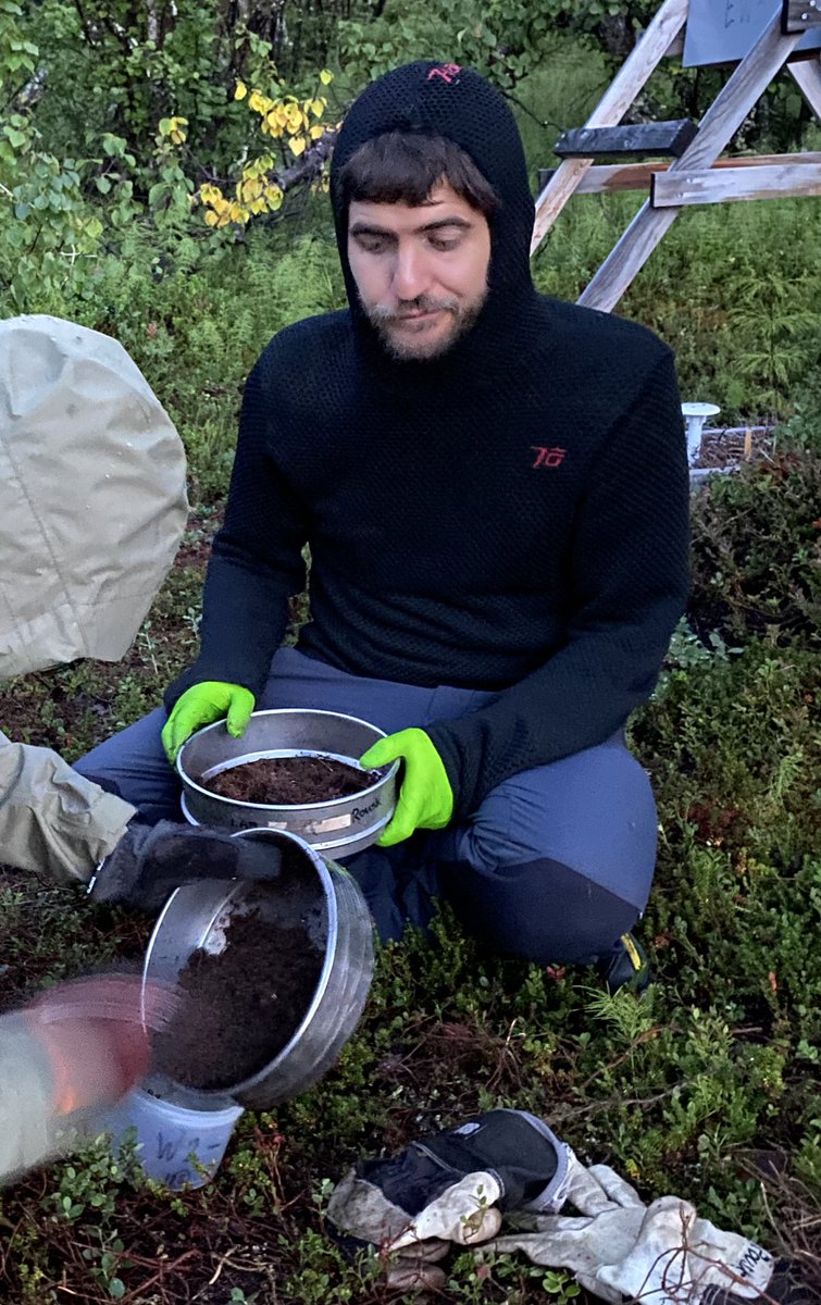 Rousk Lab (@rousklab) on Twitter photo What is the #ecosystem #carbon #budget consequences of #microbial #thermal #trait alignment to #warming? By combining clever #experimentation with incisive mass balance C budgets, <a href="/AlbertBrangari/">Albert Brangarí</a> can explain the gradual dampening of #soilC loss #egu25 meetingorganizer.copernicus.org/EGU25/EGU25-23… What is the #ecosystem #carbon #budget consequences of #microbial #thermal #trait alignment to #warming? By combining clever #experimentation with incisive mass balance C budgets, <a href="/AlbertBrangari/">Albert Brangarí</a> can explain the gradual dampening of #soilC loss #egu25 meetingorganizer.copernicus.org/EGU25/EGU25-23…