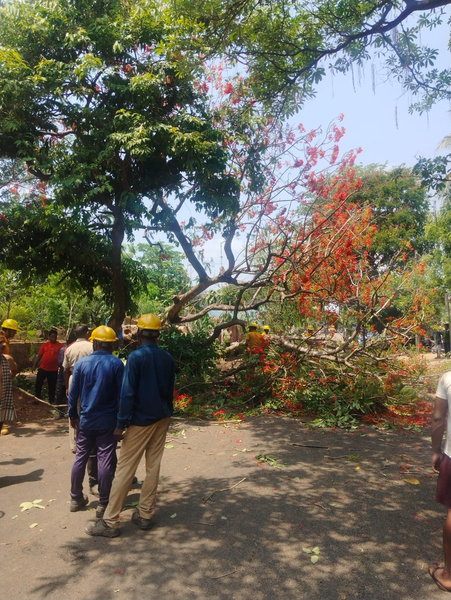 TP Central Odisha Distribution Ltd tweet media