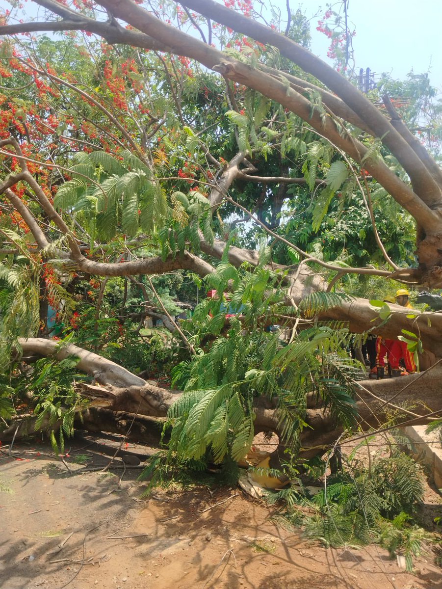 TP Central Odisha Distribution Ltd tweet media