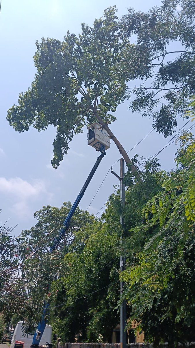 TP Central Odisha Distribution Ltd tweet media