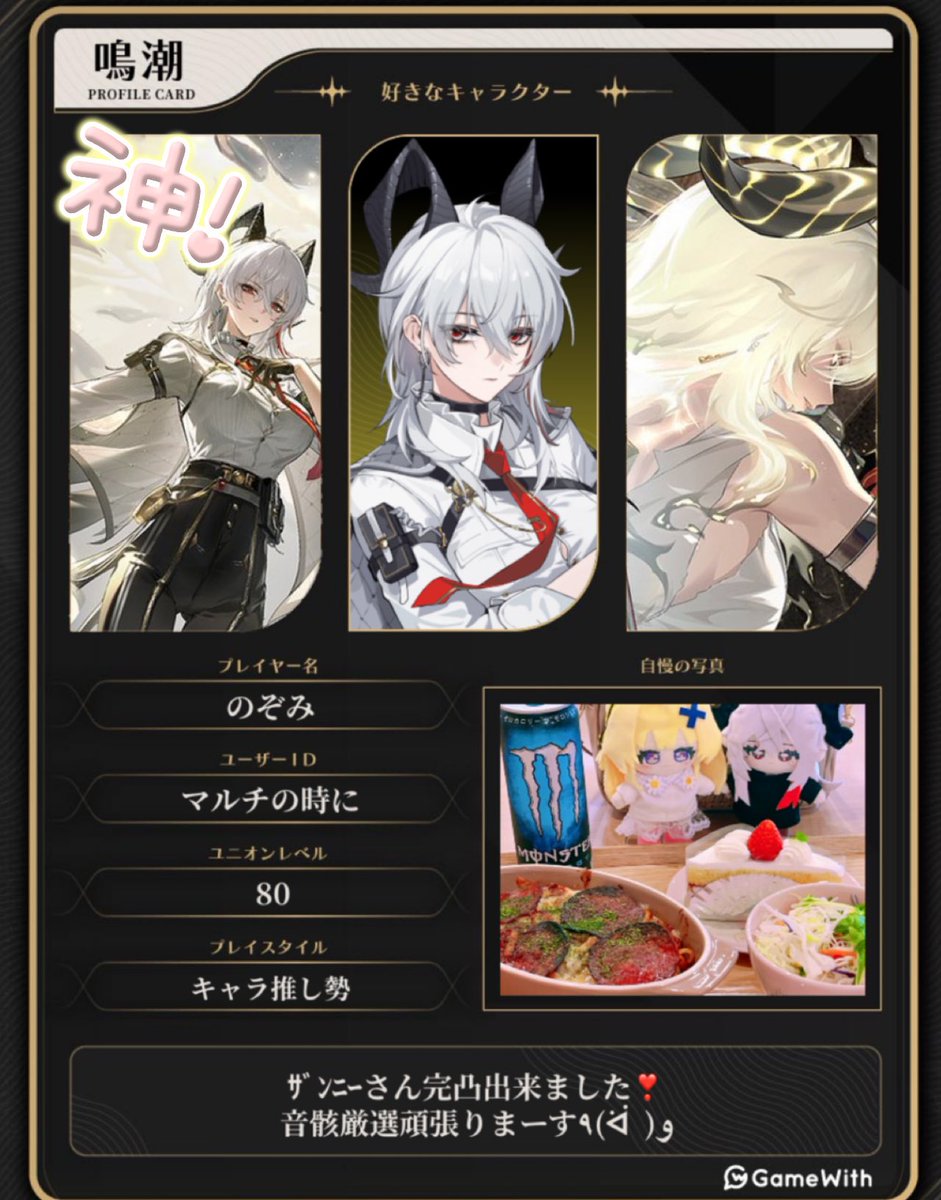 【専用】【取り置き】リオンさん専用 ザンニー NEX-114K-T エキスポール 車止め NEXシリーズ チェーン貫通