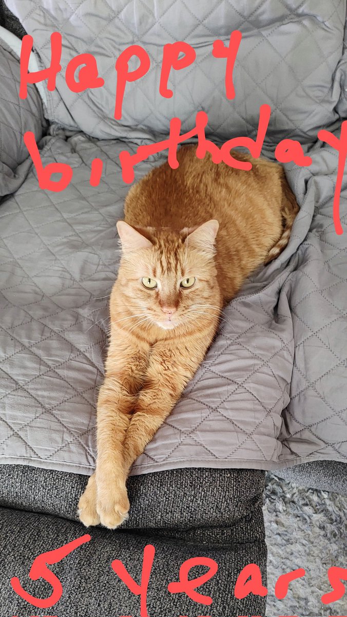 Today, the 28th, is my Henry's birthday. He is 5 years