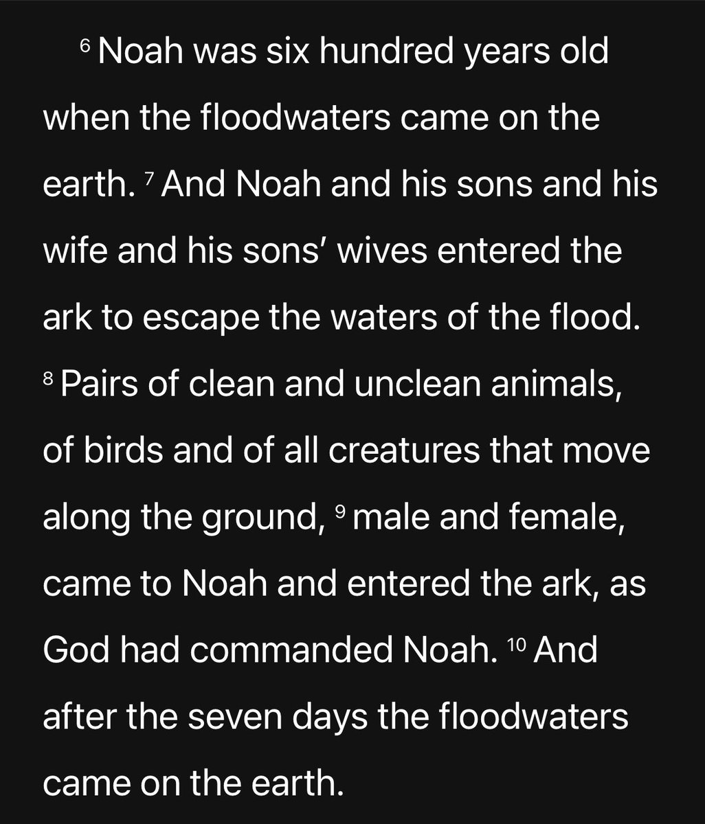 TheNodeCatcher's tweet image. 