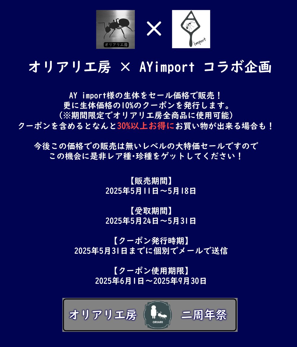 oriari_Bs3148's tweet photo. ①オリアリ工房×AYimport コラボ
AYimport様の生体のセールとオリアリ工房のクーポン発行でWでオトクな今回の企画🐜
周年祭ということでかなり特別な価格設定となっていますのでこの機会をお見逃しのない様に！👀

ラインナップや日程はショップで確認🐜
【https://t.co/UHMd9ZpreD】 https://t.co/eYorSbvoDs