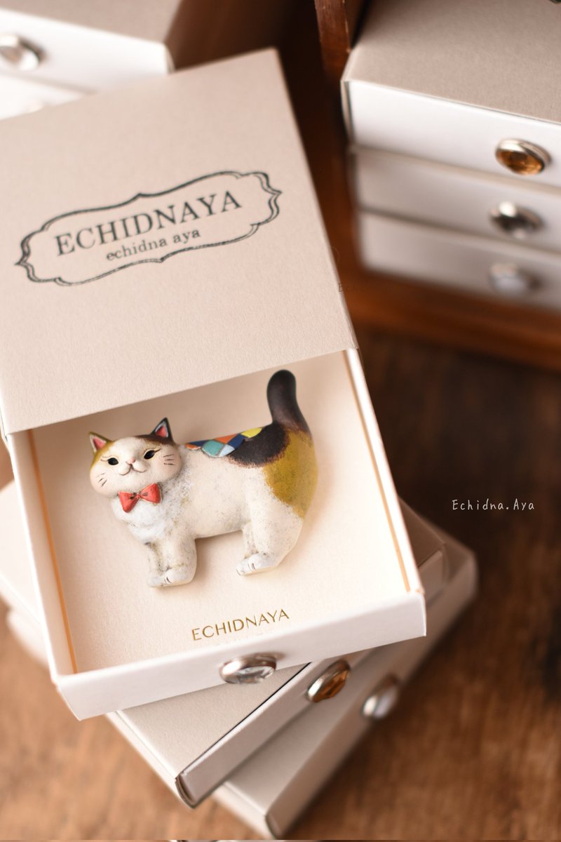 引き出しを開けるとにゃんこ🐾
#オリジナルブローチ