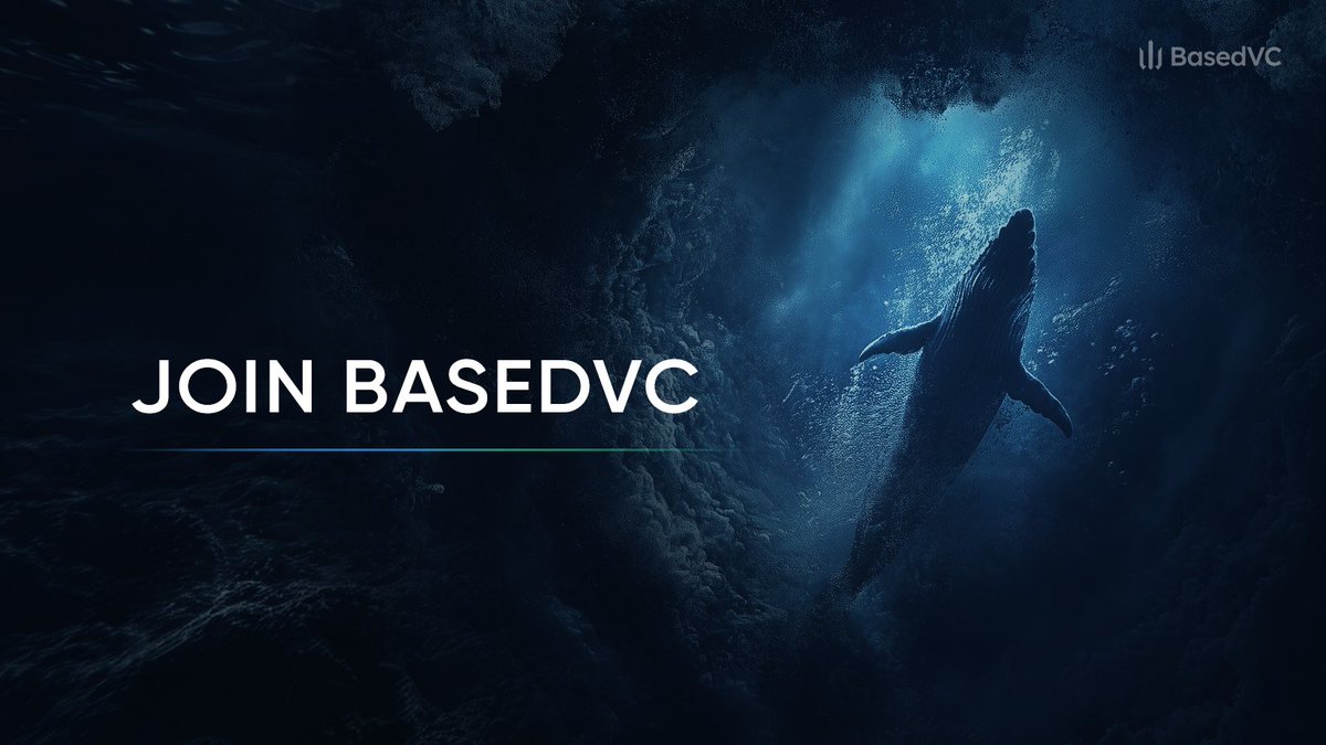 Move quietly.
Move early.
Move with BasedVC.