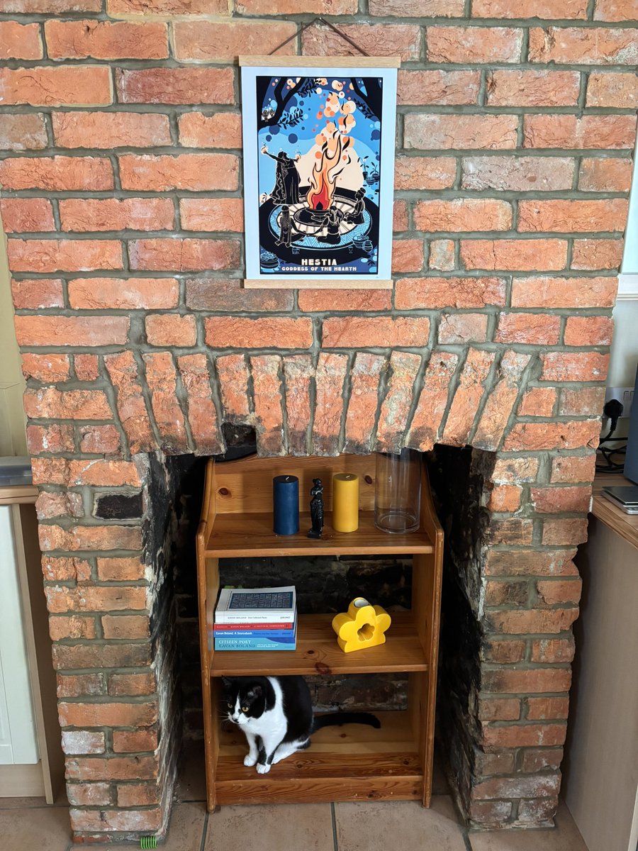 My top home decor tips:
✅ original fireplaces
✅ wall art
✅ lots of bookshelves
✅ tuxedo cat
✅ tuxedo cat’s spring toy