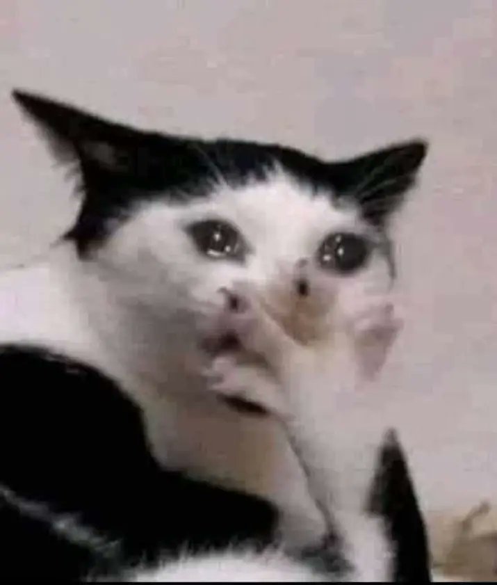 Mi hijo:¿Y hoy no hay apagón?
Yo:No 😃.
Él: ¿Y ya no hay que comerse el helado de la yaya porque se pone malo?
Yo: No, y tampoco quedó xD. 
Él: ¿Y cómo se hace un apagón?

HA NACIDO UN VILLANO