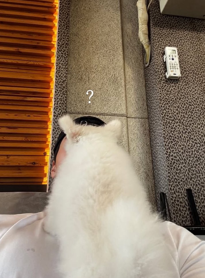 A stolen kiss…🫣