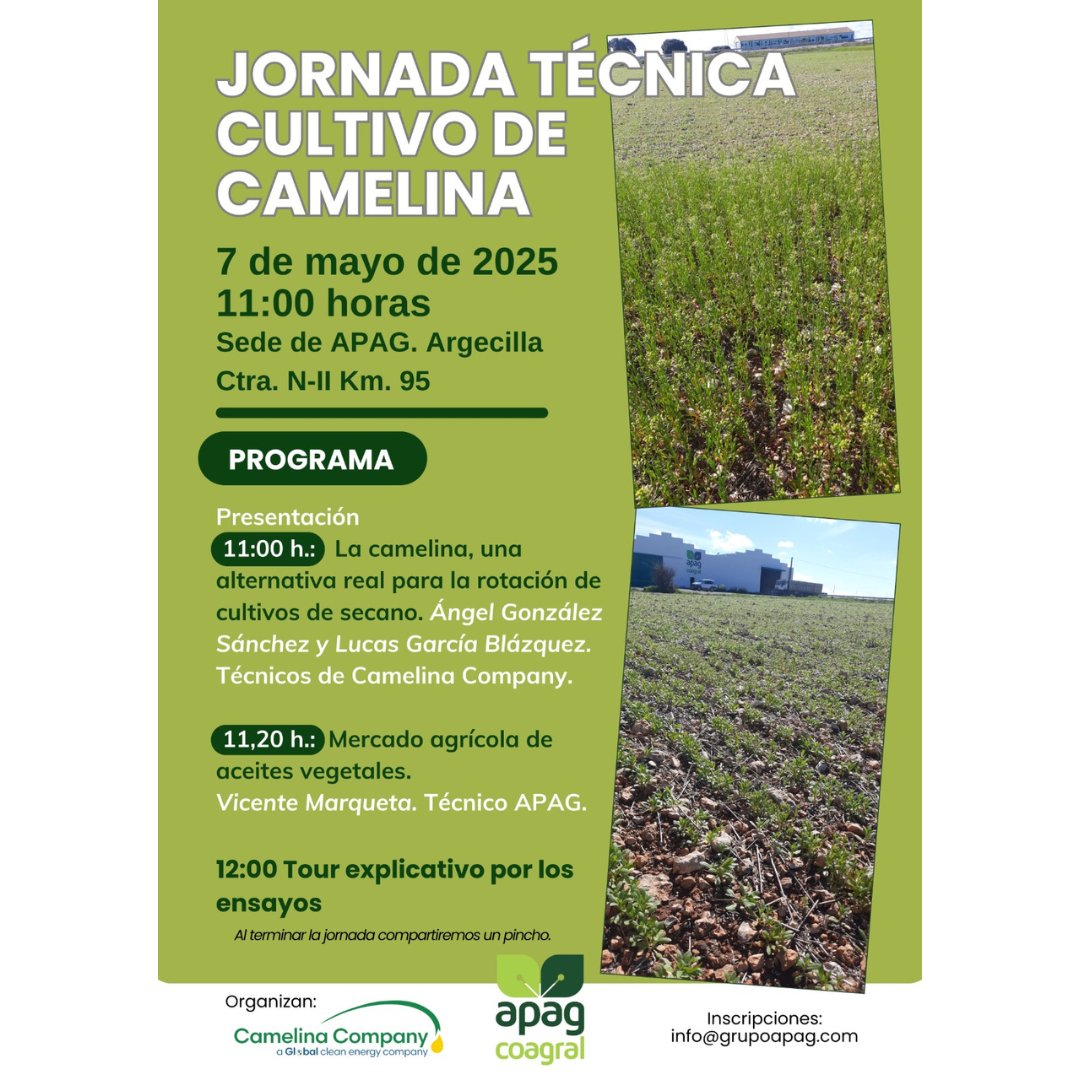 Camelina Comp España tweet media