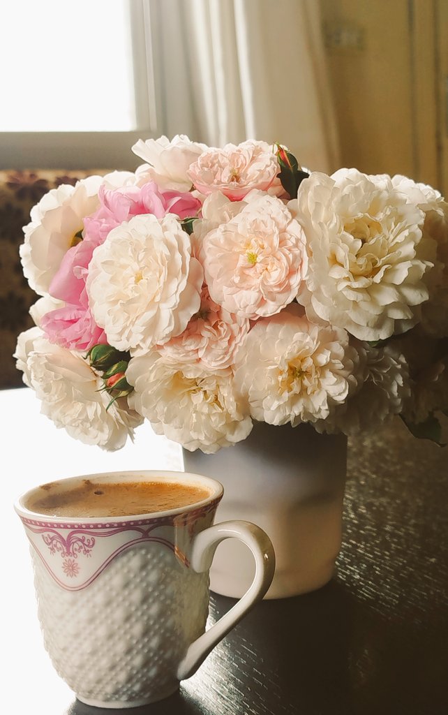 mimifa25's tweet photo. April morning https://t.co/PD2PKvfRqr