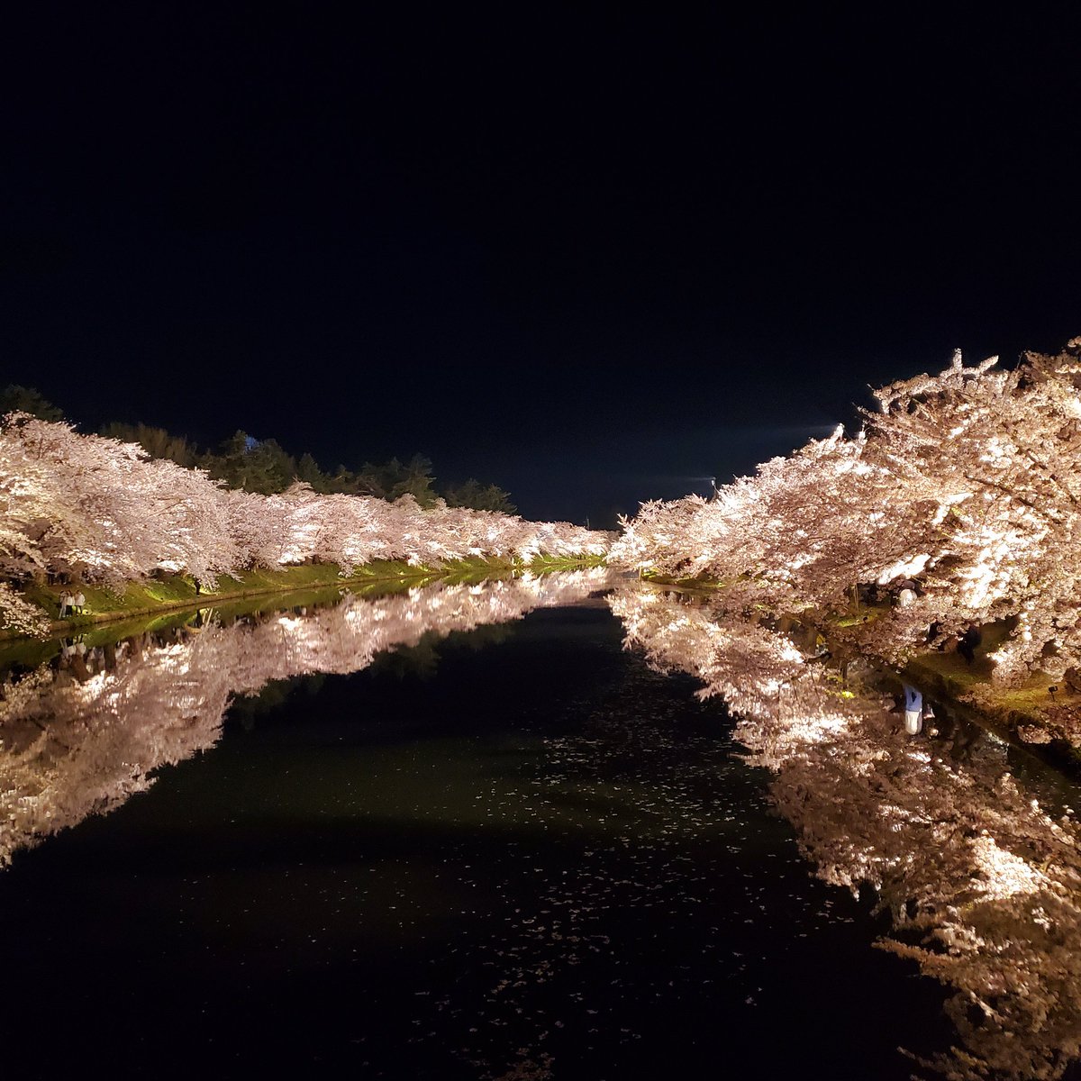 boysaix's tweet photo. 弘前の桜🌸綺麗だったなぁ
#弘前
#弘前城
#弘前さくらまつり https://t.co/TWivM0RjcC