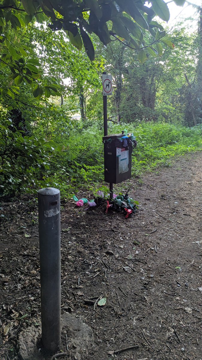 Ben Blackmore tweet media