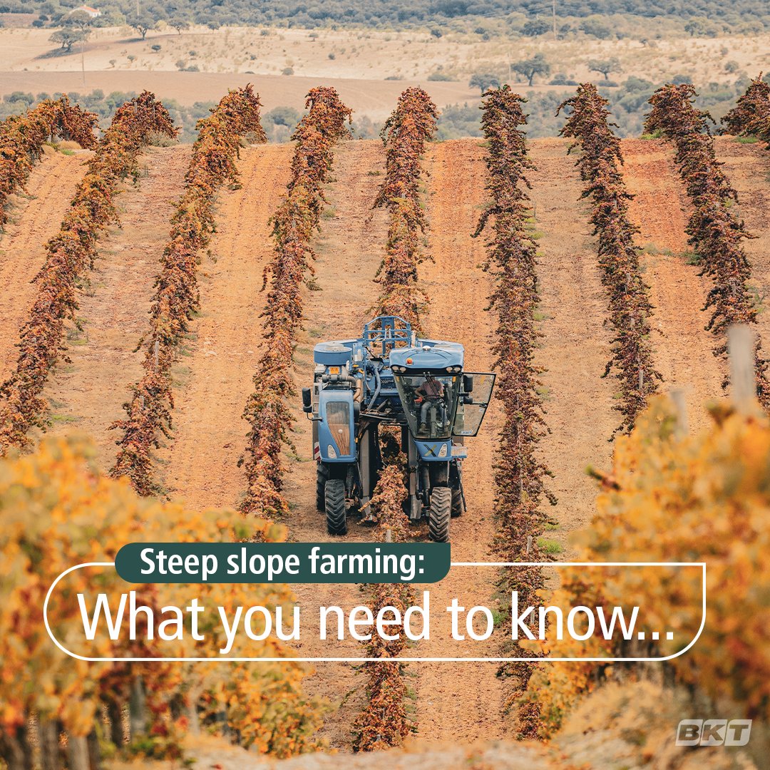 Steep slope farming: What you need to know… 🌄

Farming on steep slopes requires the right machinery and tires to keep you safe and productive. BKT tires are designed to handle these tough terrains with superior traction and stability.

Learn more in our latest blog! 👉