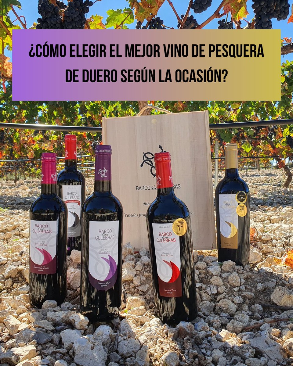 🍷🍇 Lee este post si estás buscando el mejor vino de Pesquera de Duero para una comida especial, un regalo o simplemente para disfrutar de un buen vino en casa 🔗 barcolasculebras.com/elegir-el-mejo…