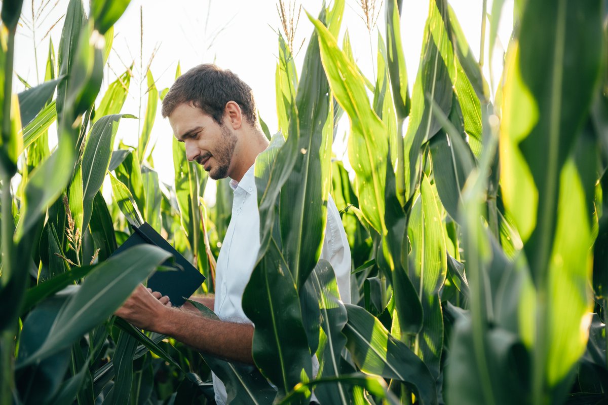 Every dollar counts. 💸
The best way to know where to invest your hard-earned dollars into your crops is through data. Unlocking 🔓 the data in soil and tissues empowers you to choose the products your crops NEED, and skip the ones they don't.
Soil and tissue sampling is key to
