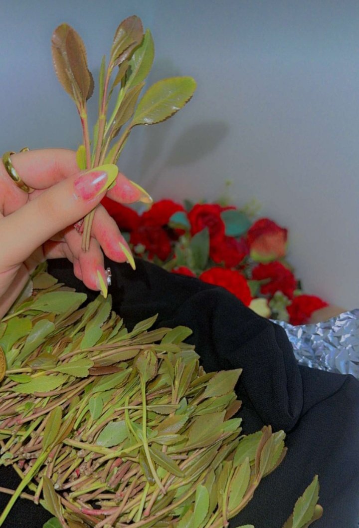 جوهره صنعانية 💕 (@is5555is) on Twitter photo 