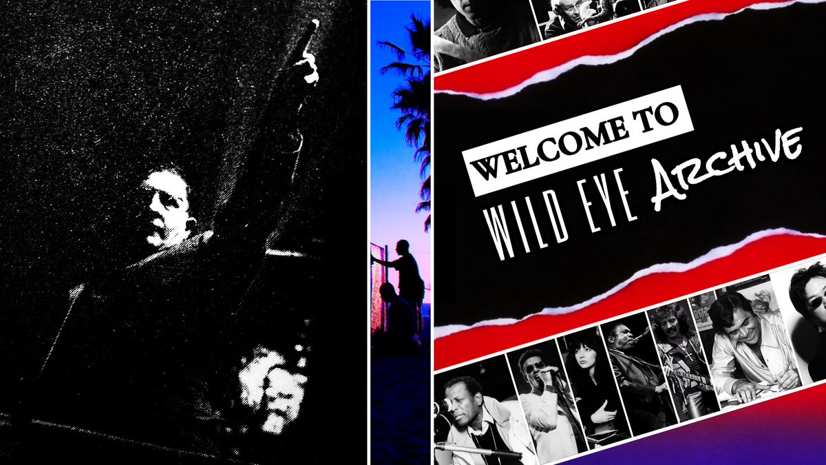 Wild Eye Archive tweet media