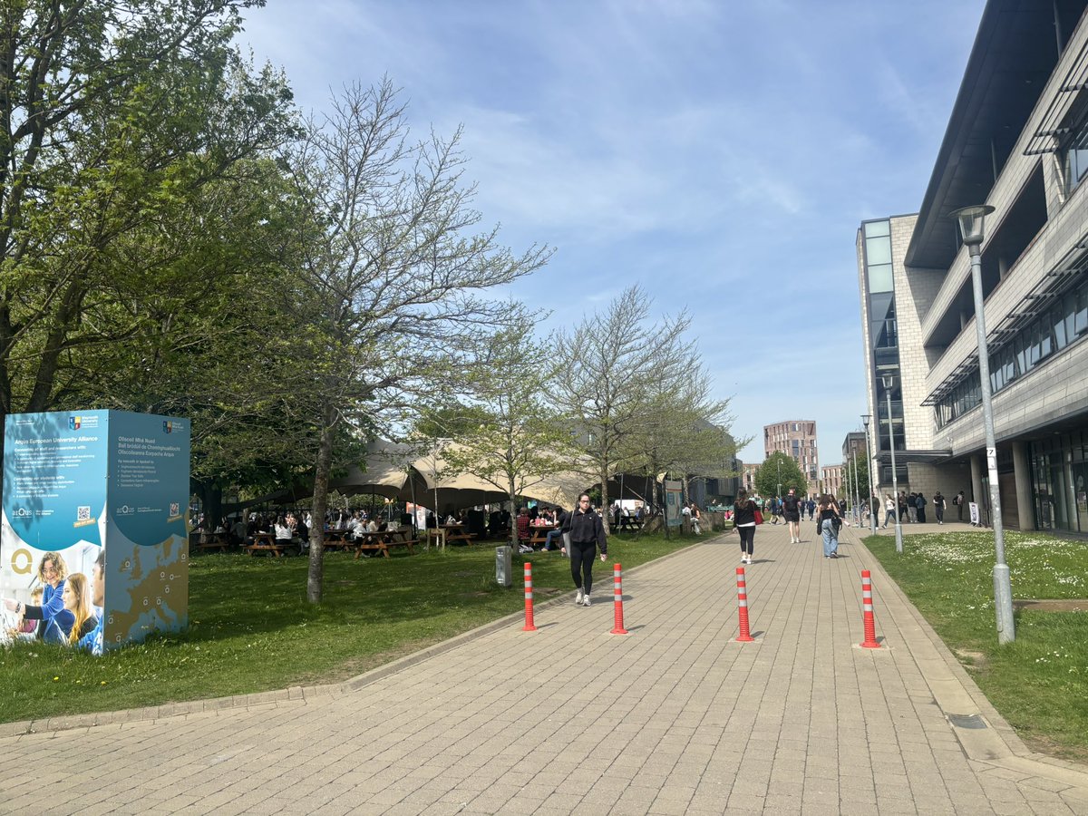 Oide Maeve tweet media