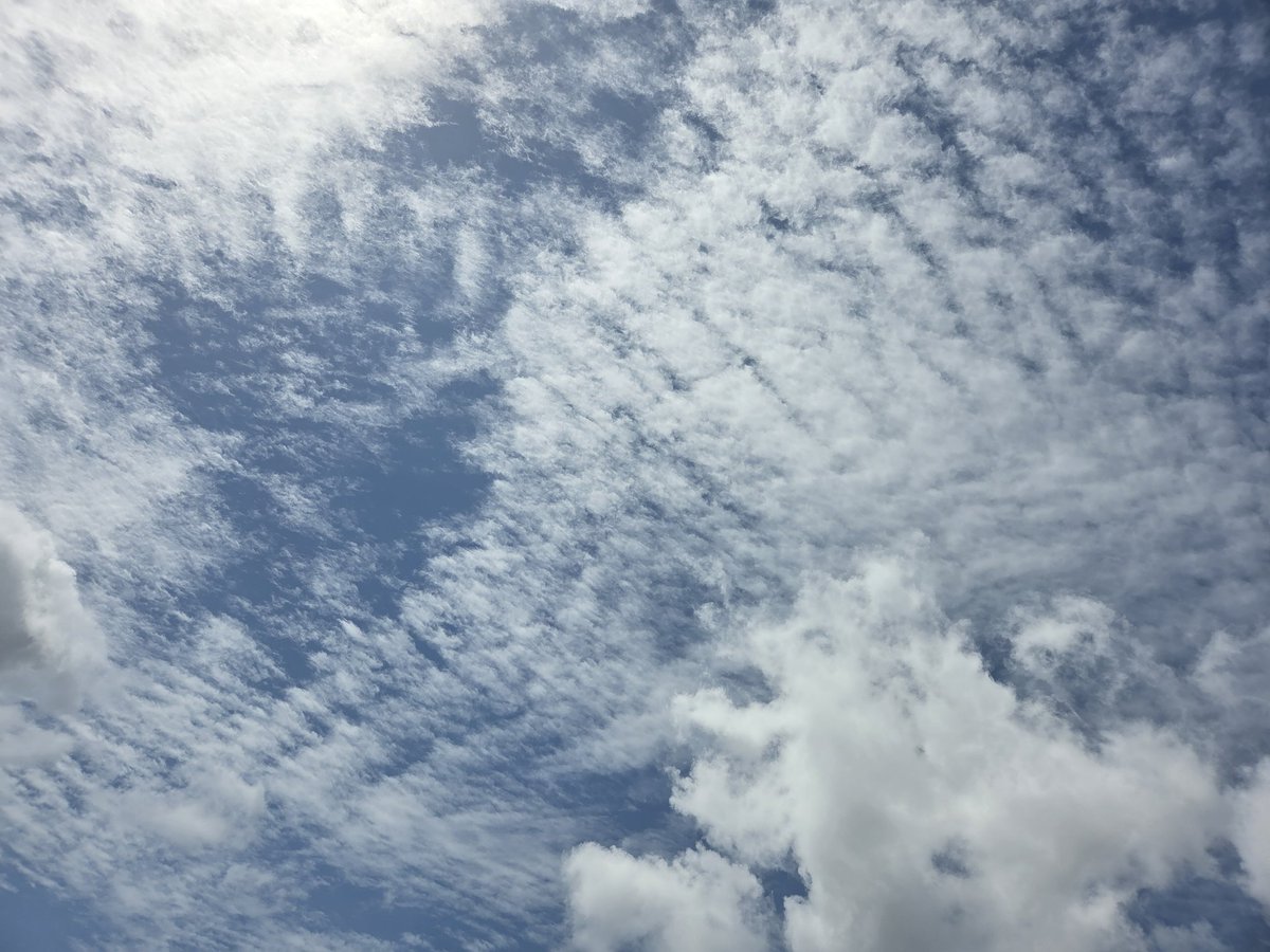 brimacfla's tweet photo. @Chemtrail101 Blasting the Nexrad? https://t.co/fntfSz1VBg