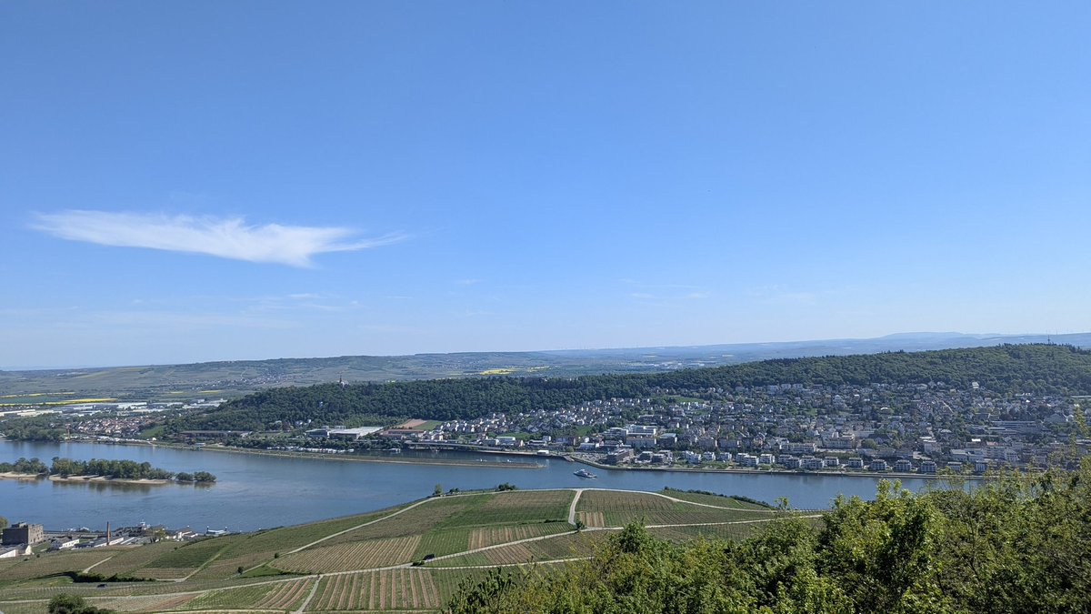 Koblenz, Cochem, Linz and Rüdesheim 🇩🇪

Some more of the towns around Koblenz, and they certainly did not disappoint!