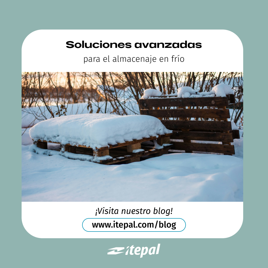 ❄️ ¿No sabes como tratar determinados productos para el almacenaje en frío?

En Itepal tenemos consejos para tu logística en frío.

▶️ Si quieres saber más, no te pierdas el siguiente artículo: 
🌐 itepal.com/soluciones-ava… 
.
.
#Itepal #PaletsDeCalidad #Logística #Sostenibilidad